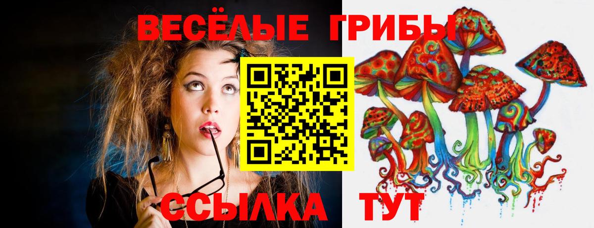 Псилоцибиновые грибы Psilocybe Шарыпово