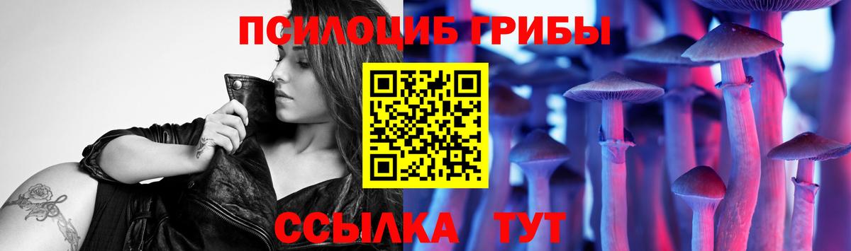 Галлюциногенные грибы мицелий  Галлюциногенные грибы ЛСД  Шарыпово  Вход с VPN 